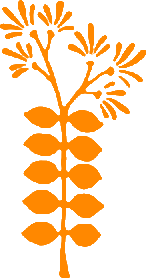 Kūhai Hālau Ō Leiʻilimalani Pā ʻŌlapa Kahiko｜クーハイハラウ京都